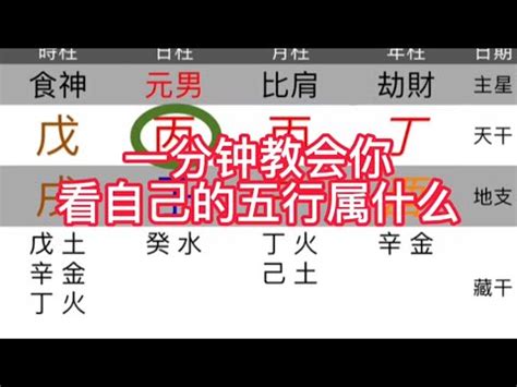 思 五行屬性|思五行屬性揭秘！